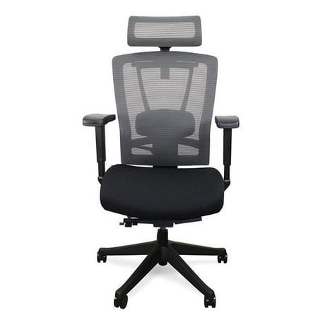 Premium Ergonomic Office Chair - All Black | Walmart Canada