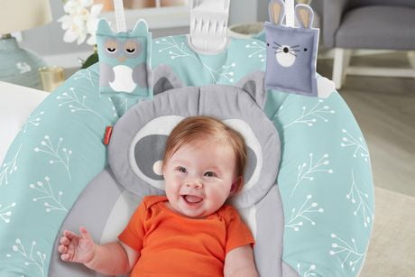 Siege Sauteur Apaisant De Luxe Bebe Raton Laveur De Fisher Price Walmart Canada