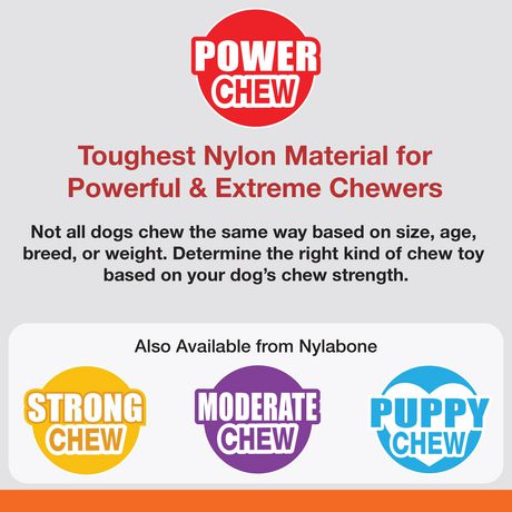 Nylabone DuraChew Femur Beef Flavored Bone Alternative Dog Chew Toy 