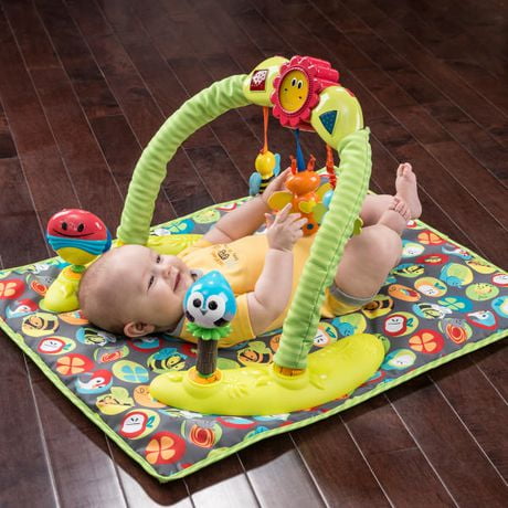 evenflo exersaucer bumbly