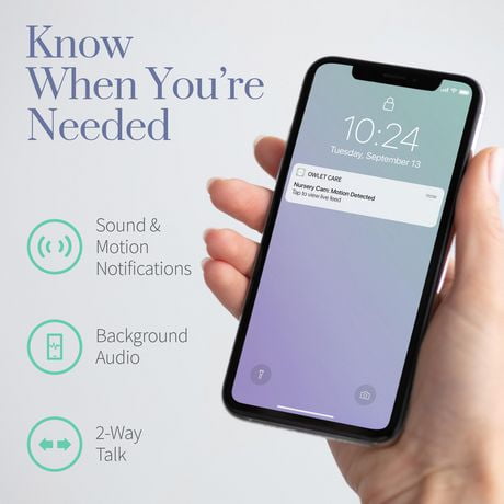 owlet cam cannot display video
