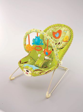 Siege Sauteur Confortable De Fisher Price Walmart Canada