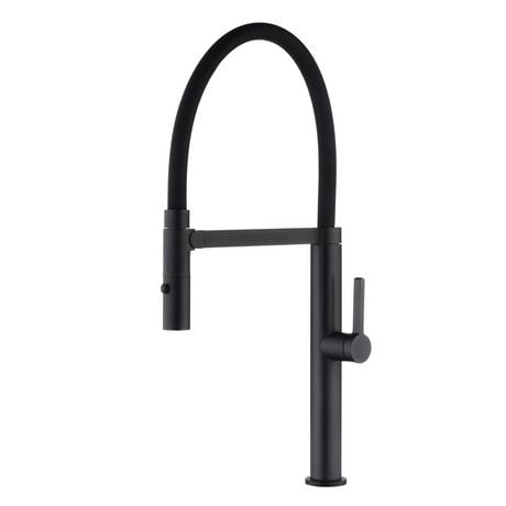 akuaplus® CLARA 1-Handle Magnetic Kitchen Faucet.