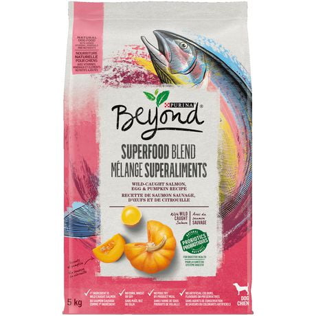 Beyond Superfood Blend Wild Caught Salmon, Egg & Pumpkin Recipe, Dry Dog Food, 1.67-10.2 kg