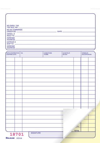 Blueline Sales Order Book - DCB26 | Walmart Canada