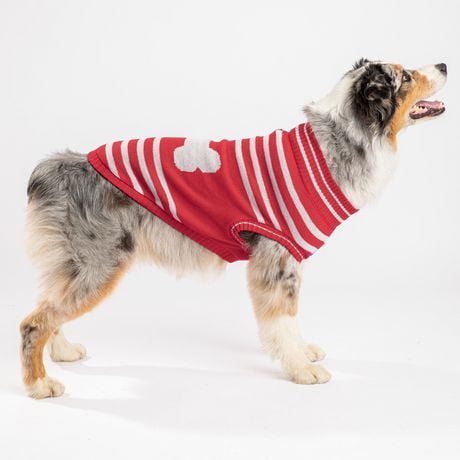 pmp pet apparel