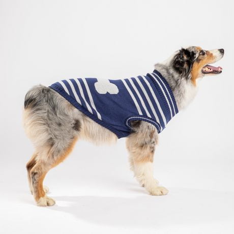 pmp dog clothes