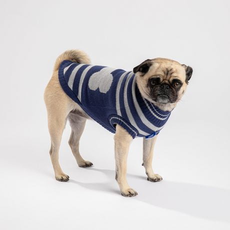 Tricot pour chiens PMP