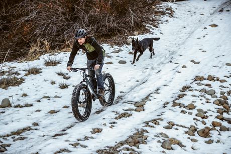 mongoose dolomite alx fat tire mountain bike 16 speeds