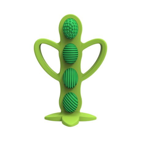 Dr. Brown’s™ Teether + Training Toothbrush – Peapod