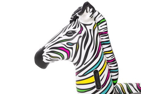 zebra float