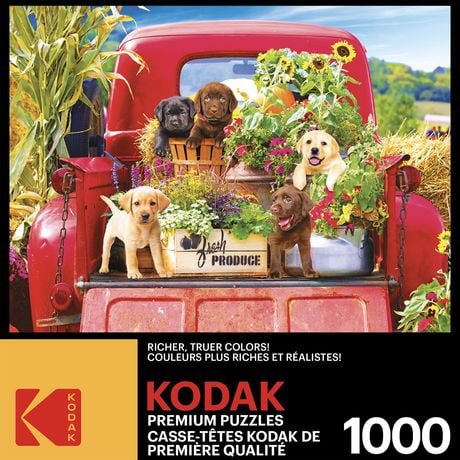 Kodak 1000 piece Puzzle Stowaways