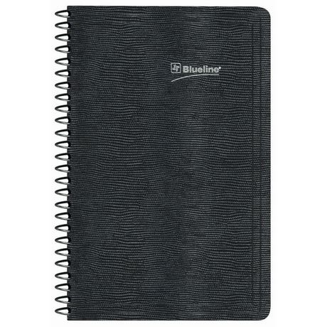 Perpetual Planner A6236.81BT | Walmart Canada