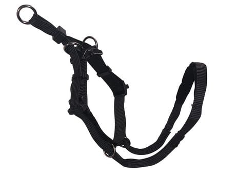 Sporn Head Control Dog Walking Halter - Walmart.ca