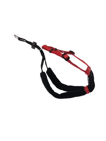 Sporn Small Non-Pull Mesh Dog Harness | Walmart Canada