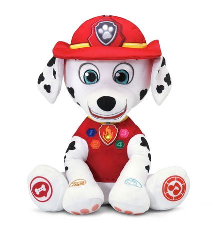 paw patrol vtech driver