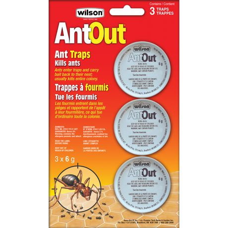 Appât pour fourmis AntOut® Tue les fourmis à l'intérieur et à l'extérieur