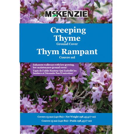 Thym Rampant Couvre sol