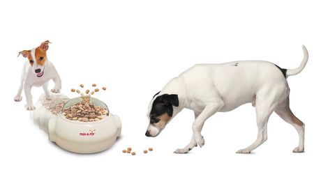 push n pop dog feeder