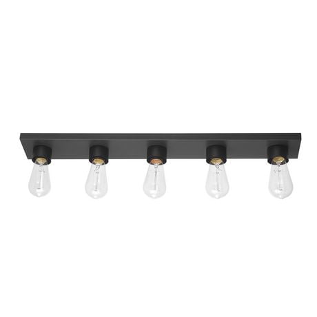 Alden 5-Light Vanity Light, Matte Black