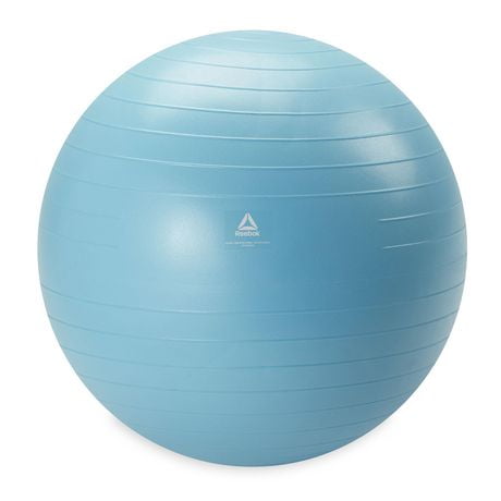 Reebok Delta 55 cm Small Weighted Stability Ball, Pump Included, Various sizes available