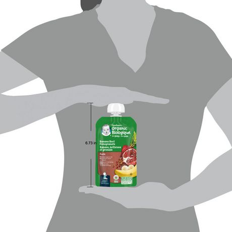 Puree Gerber Biologique Banane Betterave Et Grenade Alim Bebe 128 Ml Walmart Canada