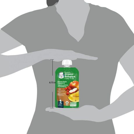 Puree Gerber Biologique Banane Pomme Framboise Aliment Bebe 128 Ml Walmart Canada
