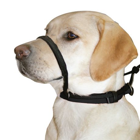 nose leash for dogs