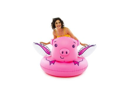 flying pig pool float