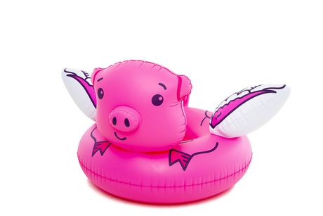 flying pig pool float