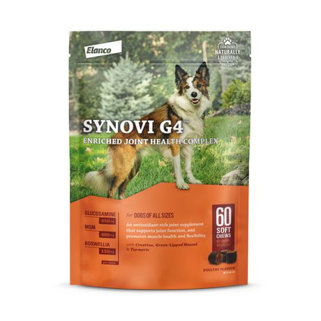 Synovi G4 Dog Joint Supplement Chews for Dogs of All Ages, Sizes and Breeds