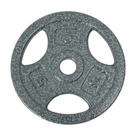 GoZone Grip Weight Plate – Silver, With anti-rust finish