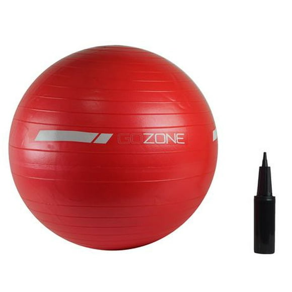 GoZone Exercise Ball, Hand pump included