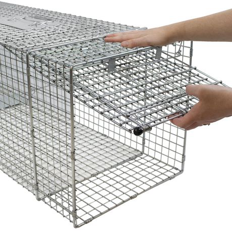 Havahart X-Large 1-Door Animal Trap | Walmart Canada