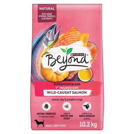 Beyond Superfood Natural Dry Dog Food, Salmon, Egg ...