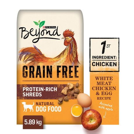 purina beyond dry dog food