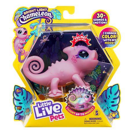 LITTLE LIVE PETS LIL' CHAMELEON SINGLE PK NOVA - Walmart.ca