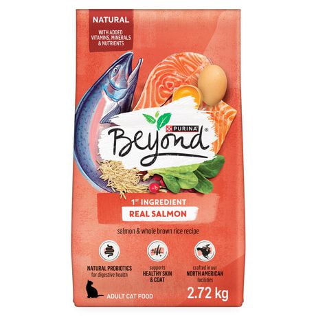 Purina Beyond Cat Food >> Beyond Simply Natural Dry Cat Food Salmon Whole Brown Rice Purina Beyond Cat Food >> Beyond Simply Natural Dry Cat Food Salmon Whole Brown Rice
