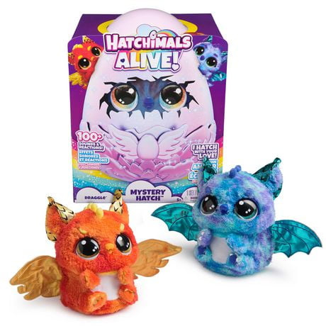 Hatchimals Alive, Mystery Hatch Draggle, jouet interactif surprise et œuf avec brume, lumières et sons (les modèles peuvent varier), jouets pour filles et garçons