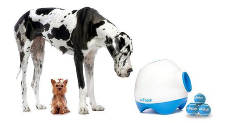 ifetch too interactive ball launcher for dogs