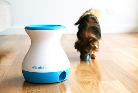 ifetch mini