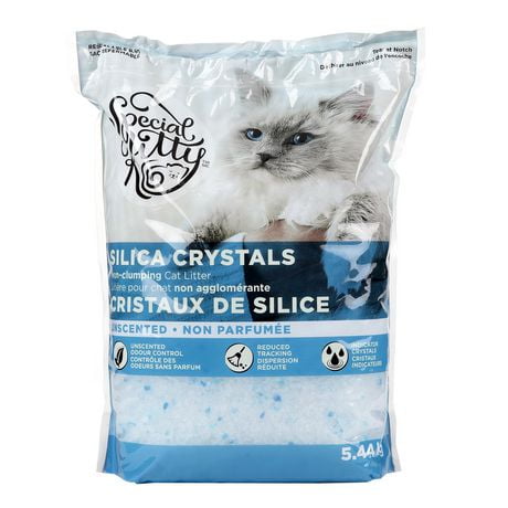 Silica clumping 2025 cat litter