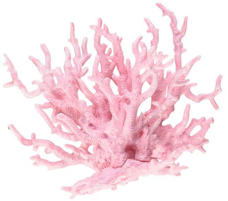 Penn Plax Deco Coral Reef Replica Aquarium Ornament- Resin | Walmart Canada
