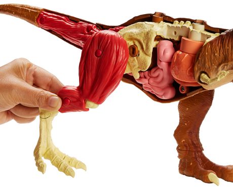 jurassic world stem tyrannosaurus rex anatomy kit