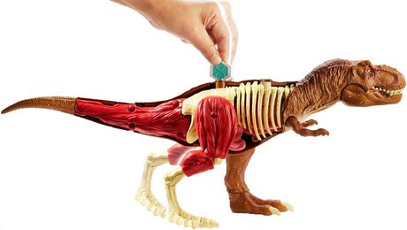 jurassic world stem anatomy kit