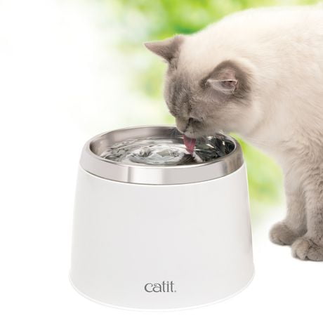 Cat water fountain walmart canada hotsell