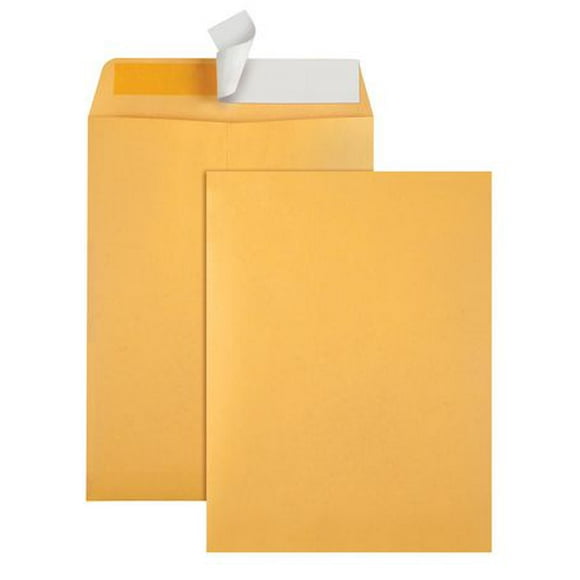 Enveloppe pour catalogue avec fermeture à bande adhésive de 10 x 13 po, papier kraft brun