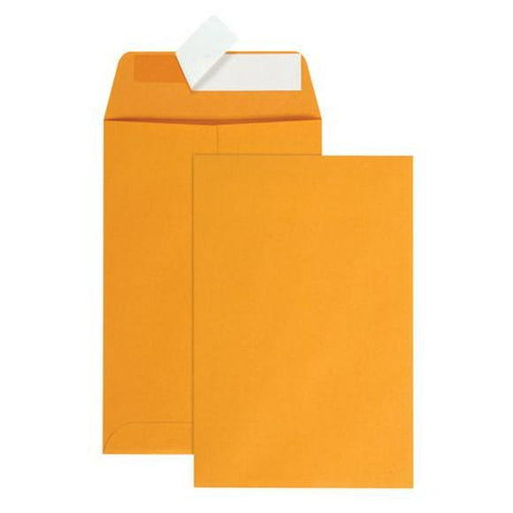 Enveloppe pour catalogue avec fermeture à bande adhésive de 6 x 9 po, papier kraft brun