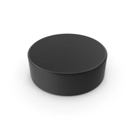 Next Level Official Hockey Puck - Pack of 100 | Walmart Canada