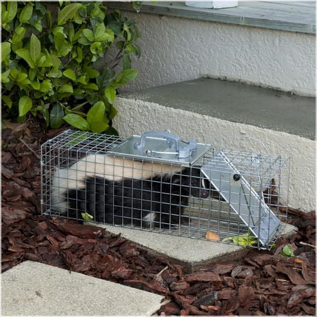 Havahart Easy Set Medium 1-Door Animal Trap | Walmart Canada